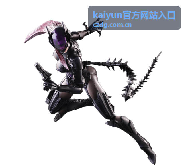 kaiyun官方网站入口 访问地址核对要点封面