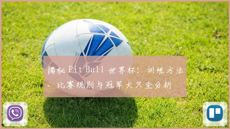 揭秘 Pit Bull 世界杯：训练方法、比赛规则与冠军犬只全分析