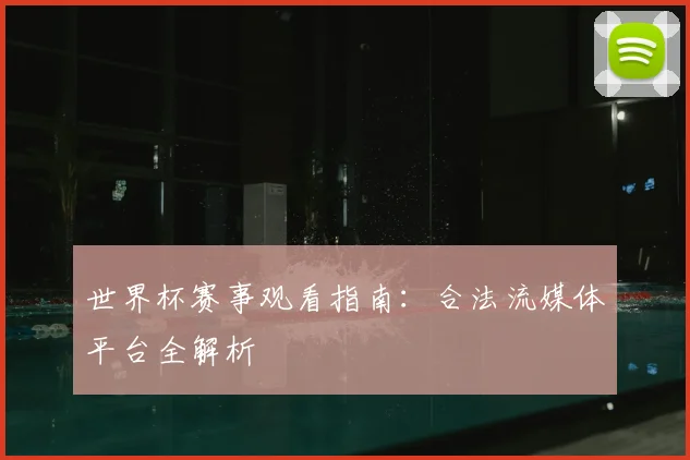 世界杯赛事观看指南：合法流媒体平台全解析