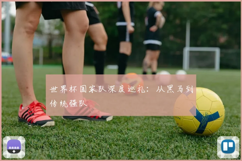 世界杯国家队深度巡礼：从黑马到传统强队