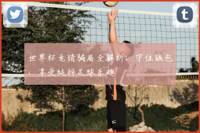 世界杯竞猜骗局全解析:守住钱包,享受纯粹足球乐趣