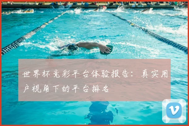 世界杯竞彩平台体验报告：真实用户视角下的平台排名