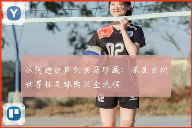 从阿迪达斯到历届珍藏：深度分析世界杯足球购买全流程