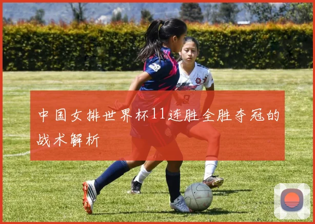 中国女排世界杯11连胜全胜夺冠的战术解析