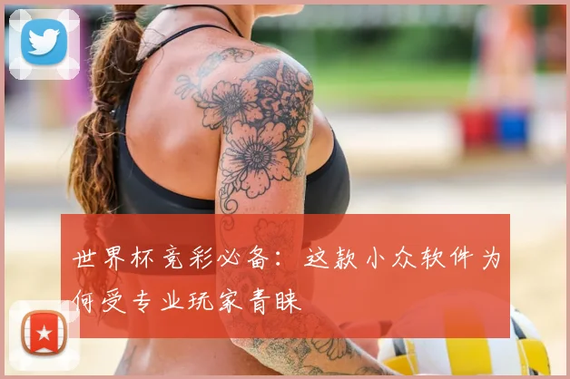 世界杯竞彩必备:这款小众软件为何受专业玩家青睐