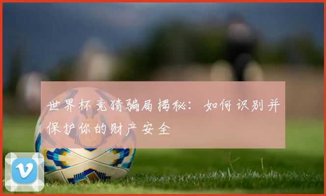 世界杯竞猜骗局揭秘：如何识别并保护你的财产安全