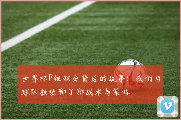 世界杯F组积分背后的故事:我们与球队教练聊了聊战术与策略