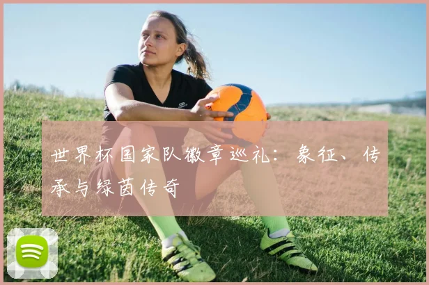 世界杯国家队徽章巡礼：象征、传承与绿茵传奇